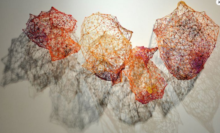 Jodi Stuart: Vivarium, July 1–18, 2017