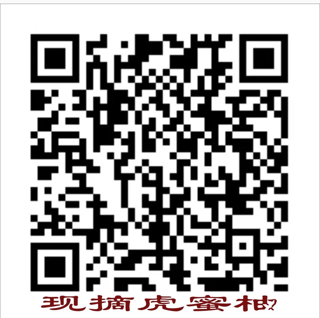 现摘虎蜜柚.jpg