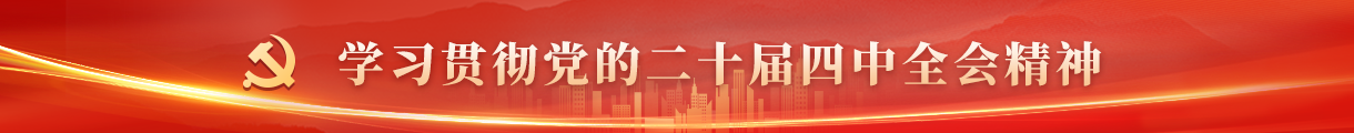 学习贯彻党的二十届四中全会精神