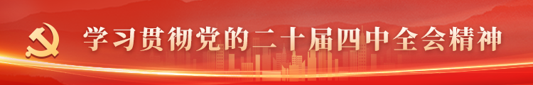 学习贯彻党的二十届四中全会精神