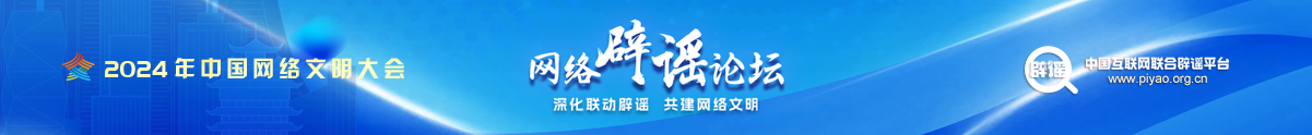 2024年中国网络文明大会网络辟谣论坛