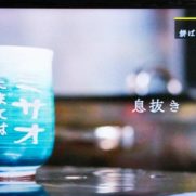 桑田ミサオ
