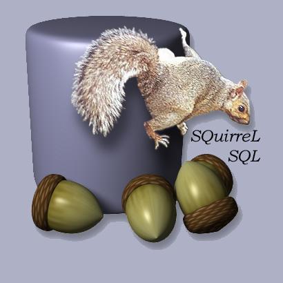 @squirrel-sql-client