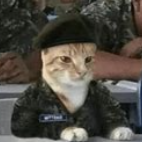 @AnythingLegalConsidered