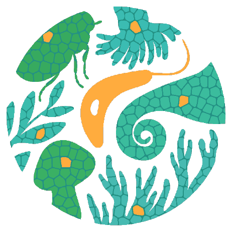 @biodiversitycellatlas