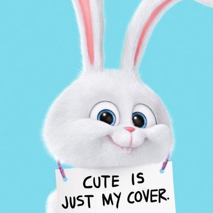 @thesecretlifeofabunny