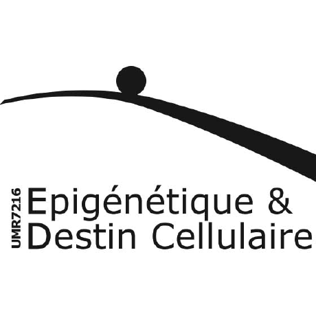@parisepigenetics