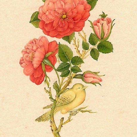 @thesaturdayafternoon