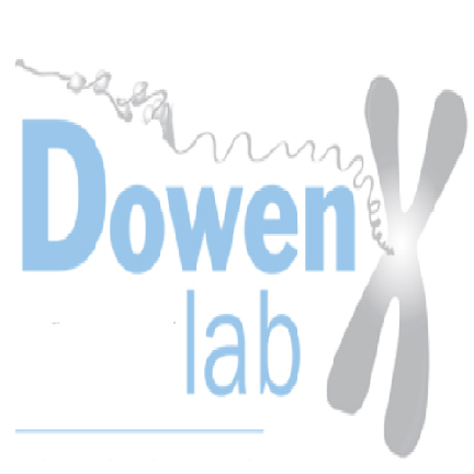 @dowenlab