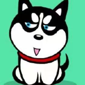 @huskyhao