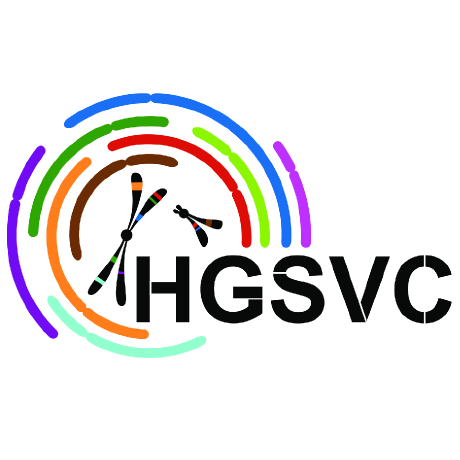 @hgsvc