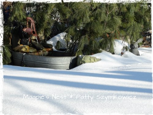 backyard winter wonderland