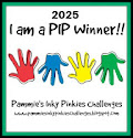 PIP Challenge