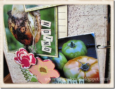 Garden Grow album closeup4