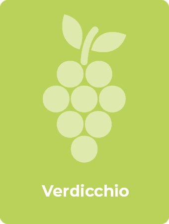Verdicchio druif