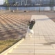OtoQのアイコン