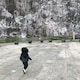 GUGUMINIのアイコン