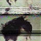 Cain Wangのアイコン