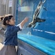 mioliのアイコン