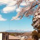 Harukiのアイコン