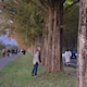 ayakaのアイコン