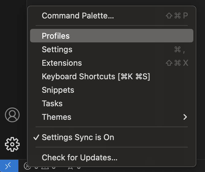 Profiles editor via the Manage button in the Activity bar