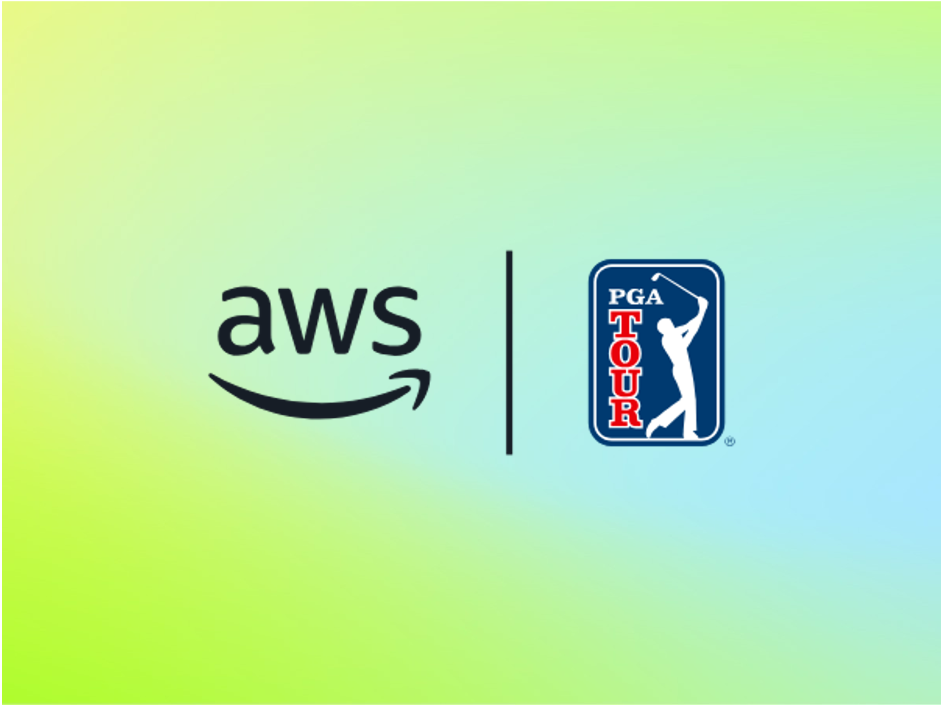 Missing alt text value