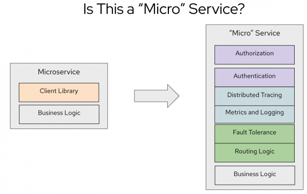 This is a "Micro" Service?