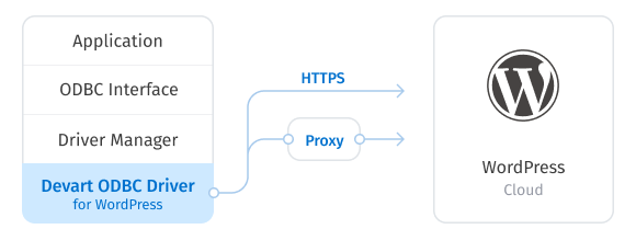 direct-connection-wp