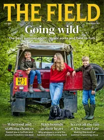 The Field 
                issue July 2026