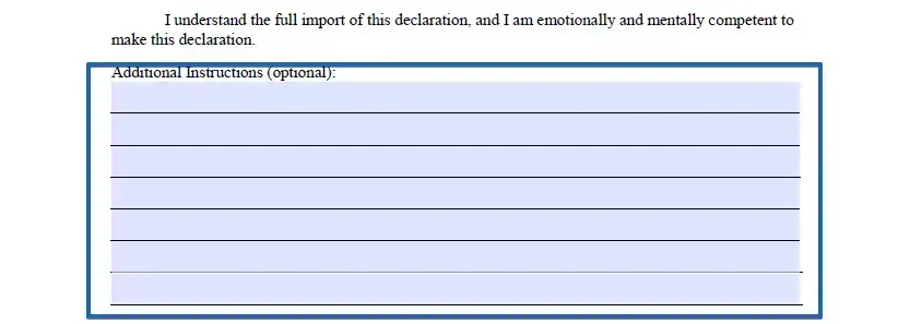 Other instructions section of living will document for Florida