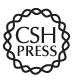 Publisher Logo