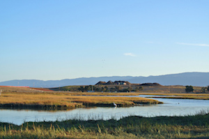 Baylands Park