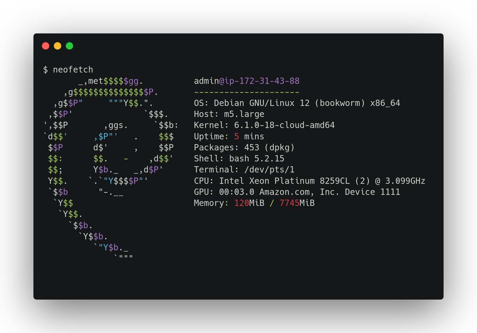 aws.m5 neofetch