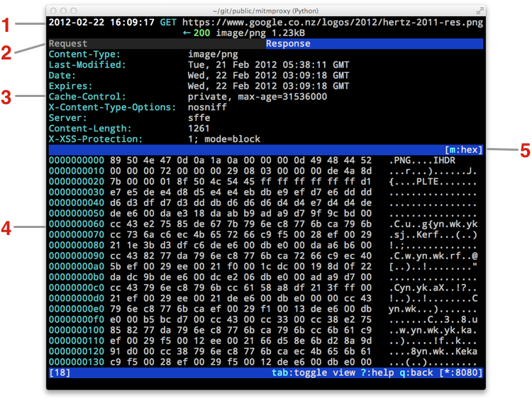 screenshots/mitmproxy-flowview.png
