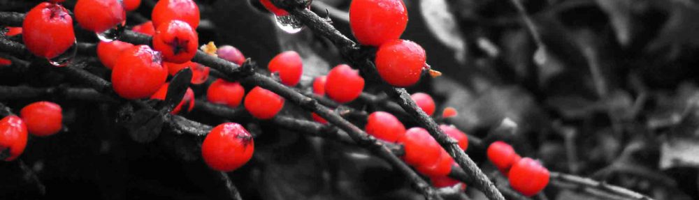 Art, Photography, Fiction and Poetry