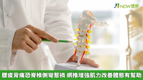 腰痠背痛恐脊椎側彎惹禍 網推增強肌力改善體態有幫助