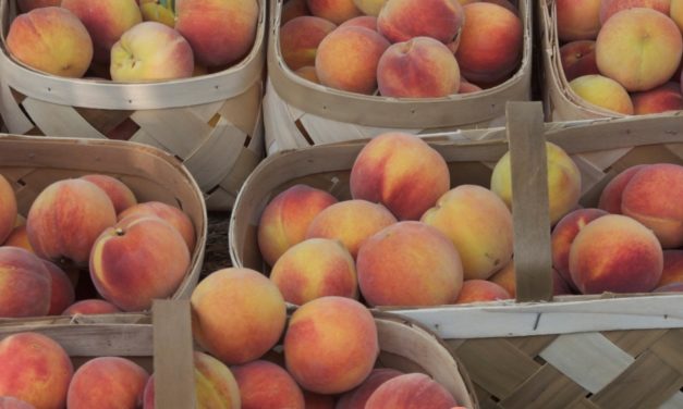 Preserving Peaches