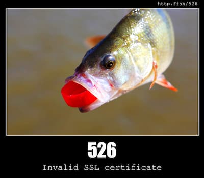 526 Invalid SSL Certificate & Fish