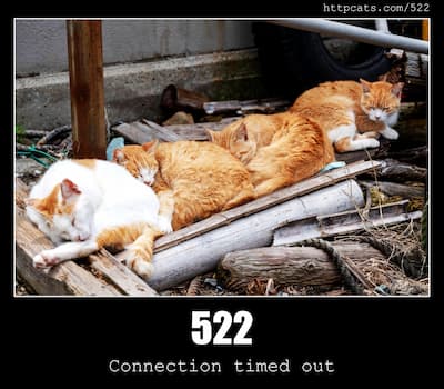 522 Connection Timed Out & Cats