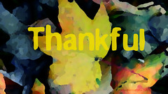 Thankful by Nakeva