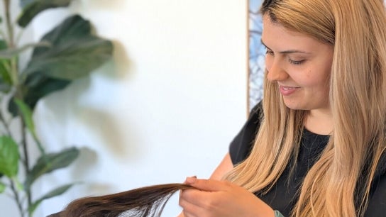 Sasha Sunflower ( Ascot Vale )
