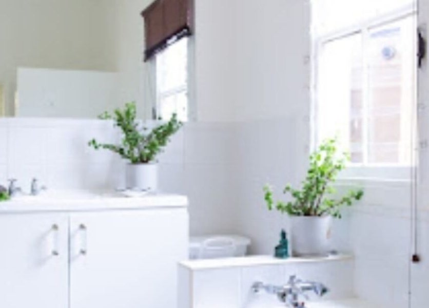 Bright, serene bathroom at Only One Spa, Cape Town, Western Cape, ZA, featuring lush plants and elegant decor.