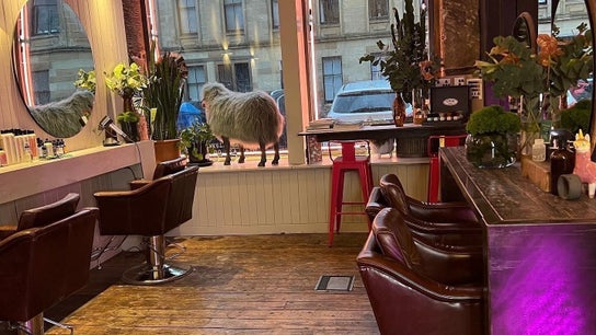 At 66 Hair and Lifestyle - Strathbungo