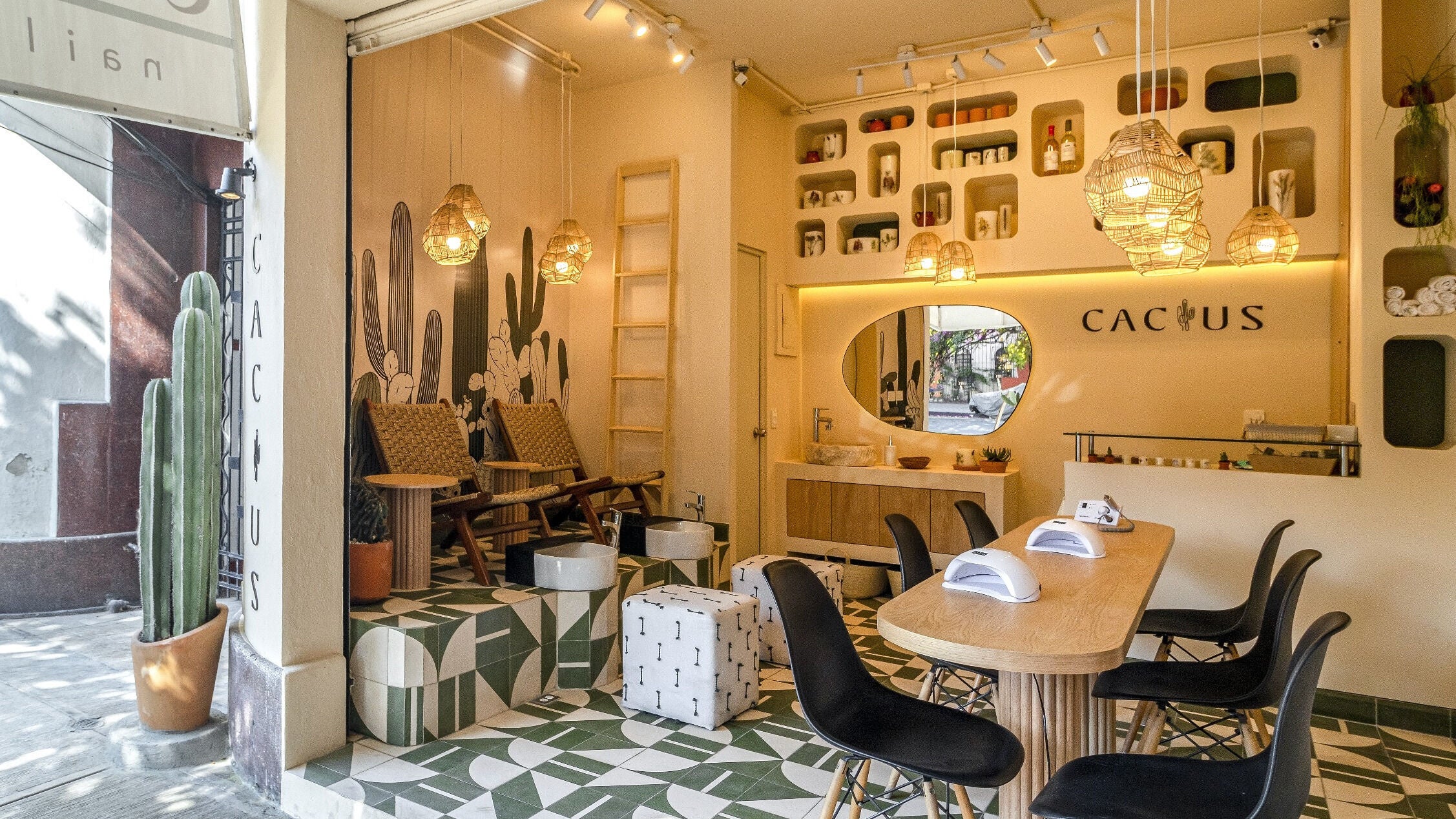 Interior del Cactus Condesa en Ciudad De México, diseño acogedor con cáctus y ambiente relajante.