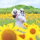 y_mamのアイコン