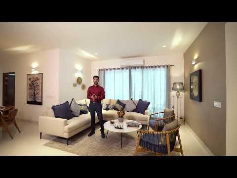 Expert Reviews & Advice