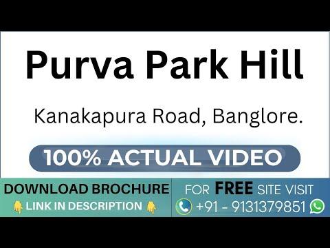 Expert Reviews & Advice
