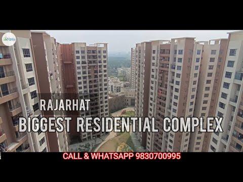 Expert Reviews & Advice