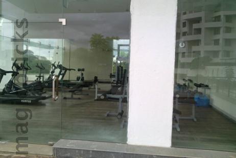 Sports Arena / Gym / Tennis Court /Basket Ball Court in Rutuparna Society